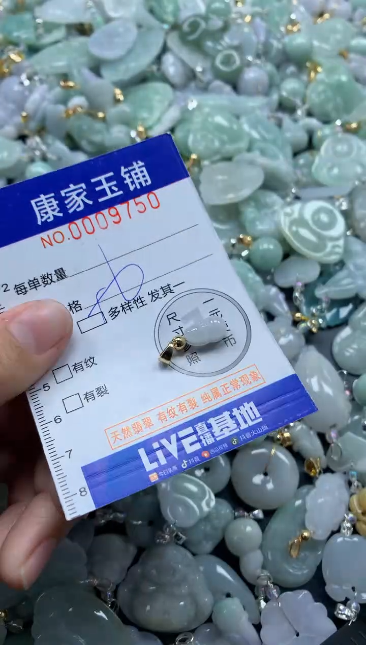 颈饰未镶嵌翡翠9750