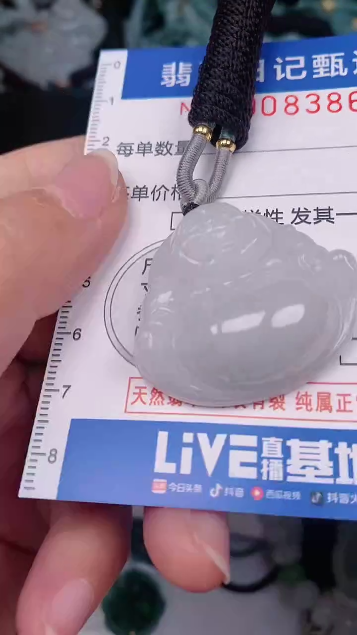 【闪购商品】翡翠颈饰未镶嵌00008386