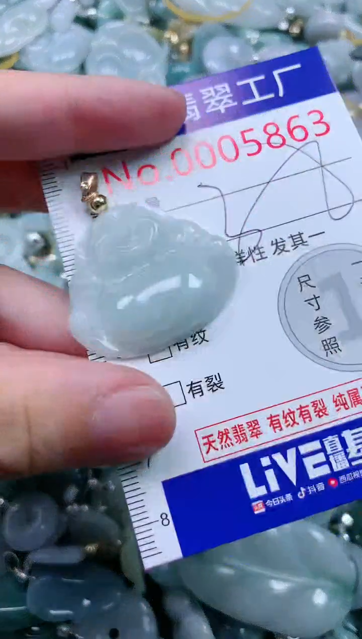翡翠未镶嵌吊坠(不含链)5863