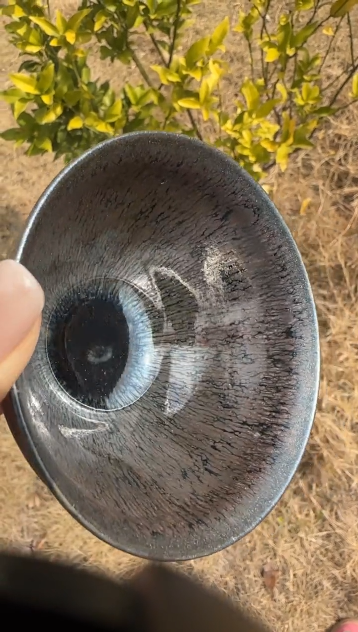 【闪购商品】茶盏暨子文高端收藏251