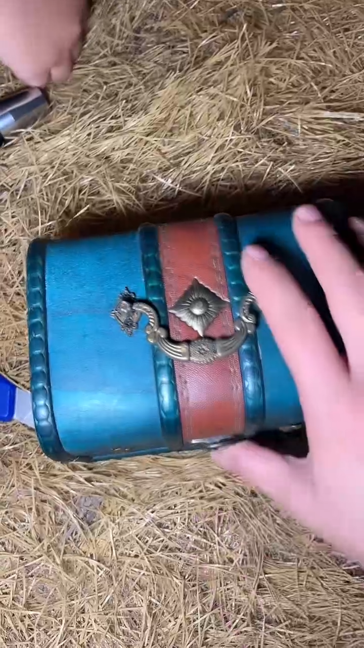 香榧木摆件---------（墨序甄选）蓝色大盒子