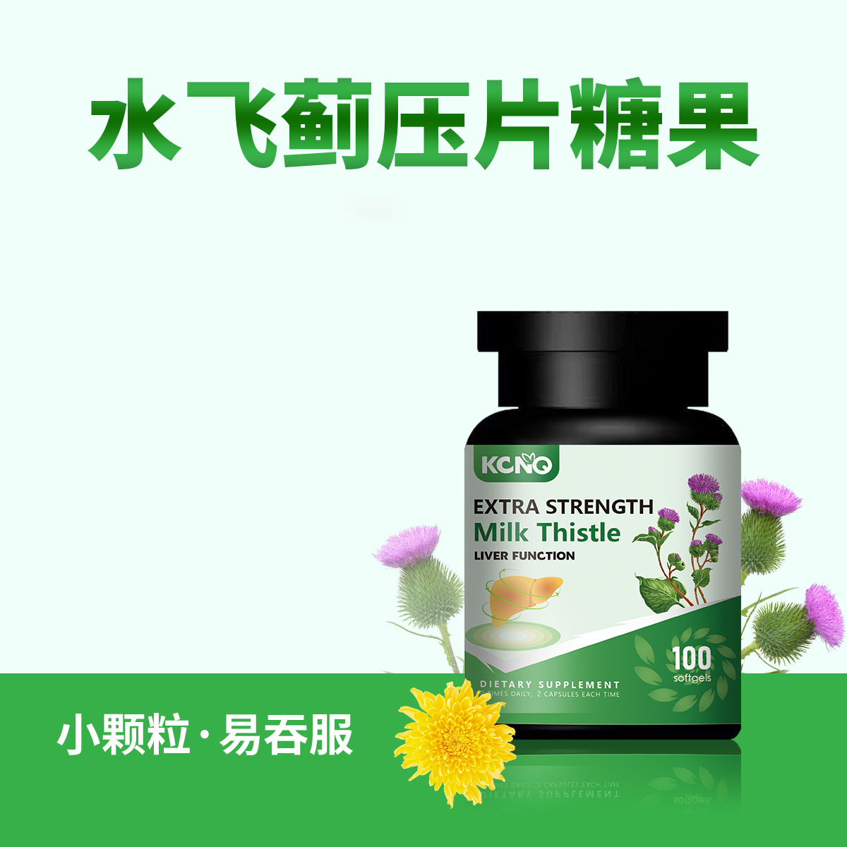 KCNQ水飞蓟籽油片加班草本100粒/瓶