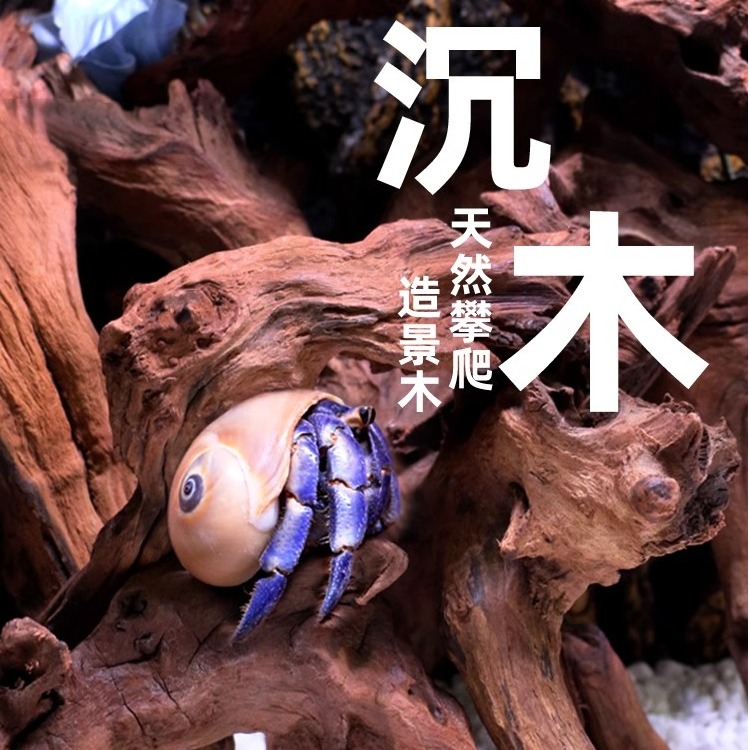 寄居蟹攀爬躲避屋沉木紫柚木龟趴台水族鱼缸造景鱼虾躲避孔洞木头
