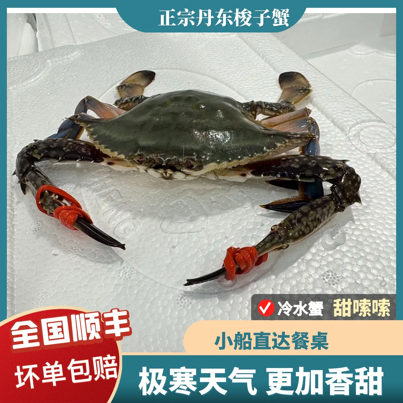 东港 梭子蟹【小尖蟹】2-3斤装【保鲜不保活】有水分流失单只2两以下