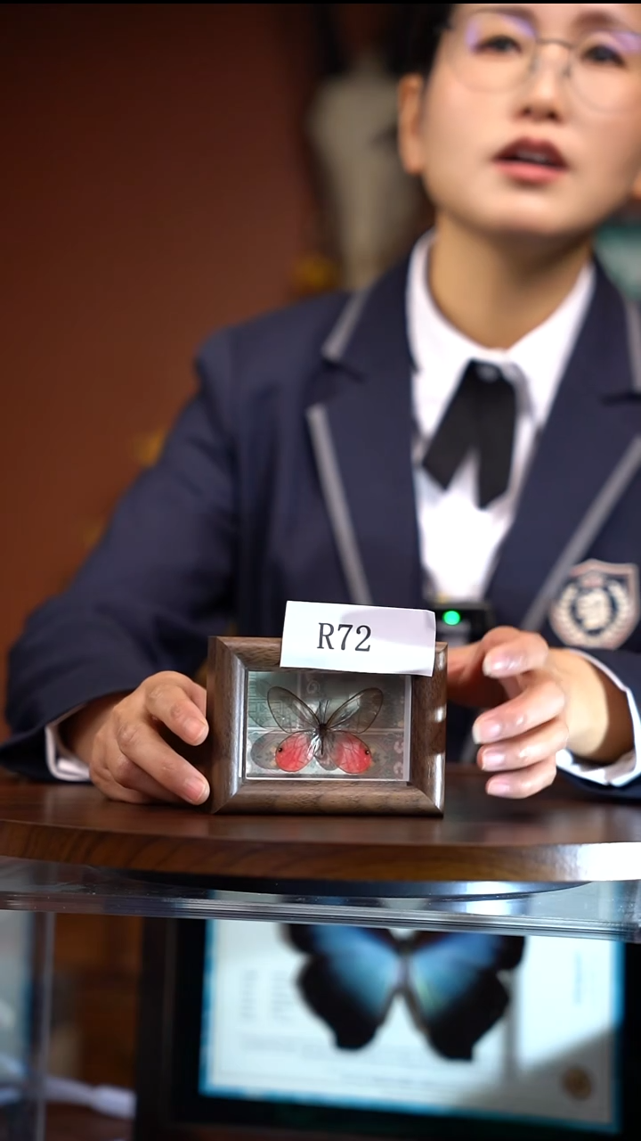 R72     玫瑰绡眼蝶 木质框冰箱贴  微瑕