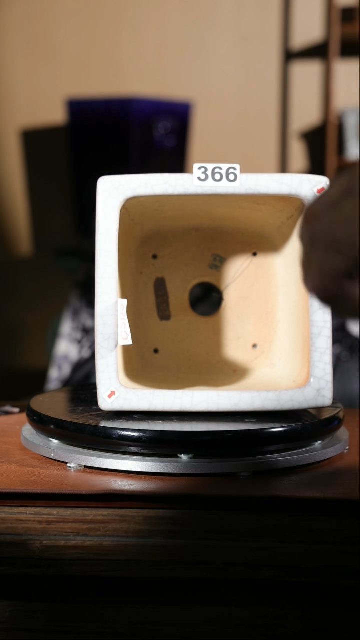 【闪购商品】红陶366  微瑕