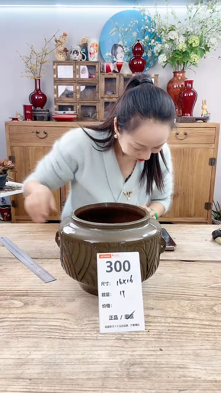 【闪购商品】红陶300