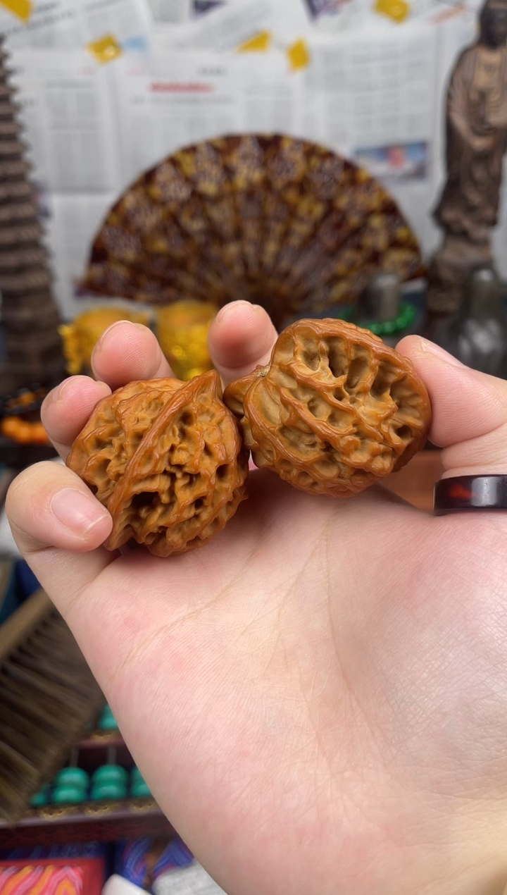 木-黄核桃一对儿