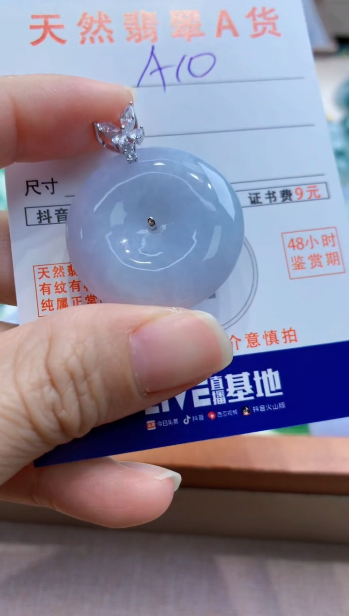 颈饰未镶嵌翡翠天然A货翡翠挂件