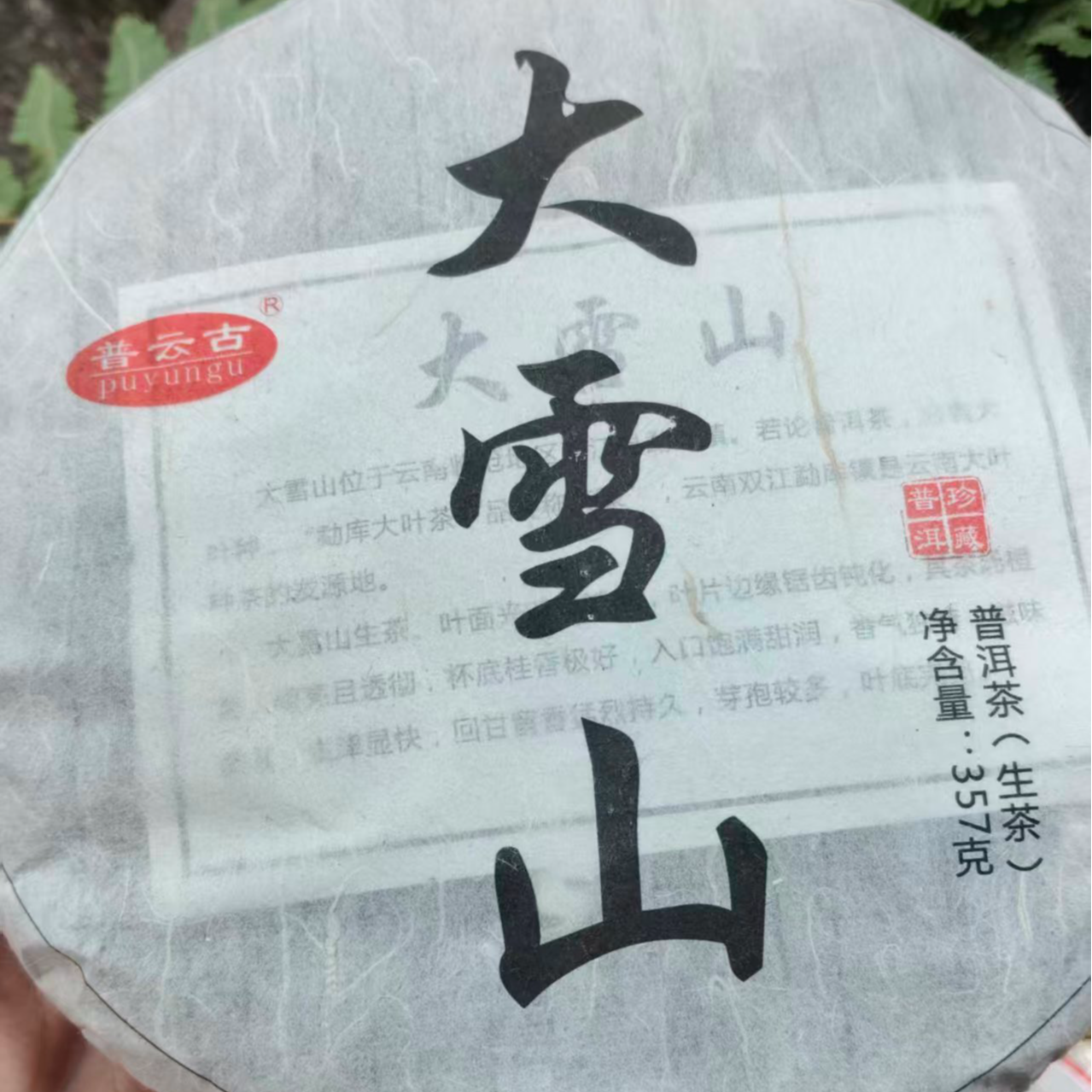 大雪山普洱茶【生茶】