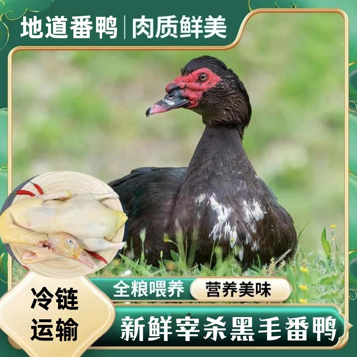 【老兵B】 农村散养番鸭 单只净重4-5斤 冷链发货