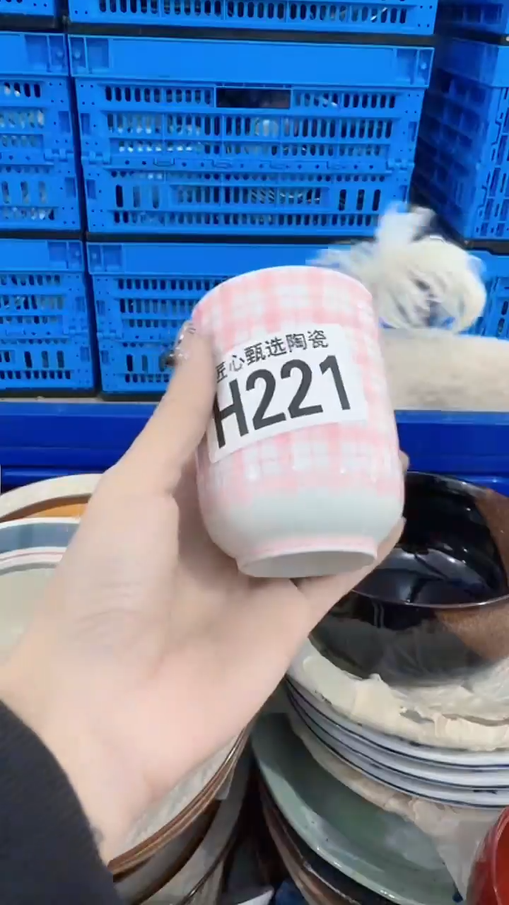 瓷片心****6         H221