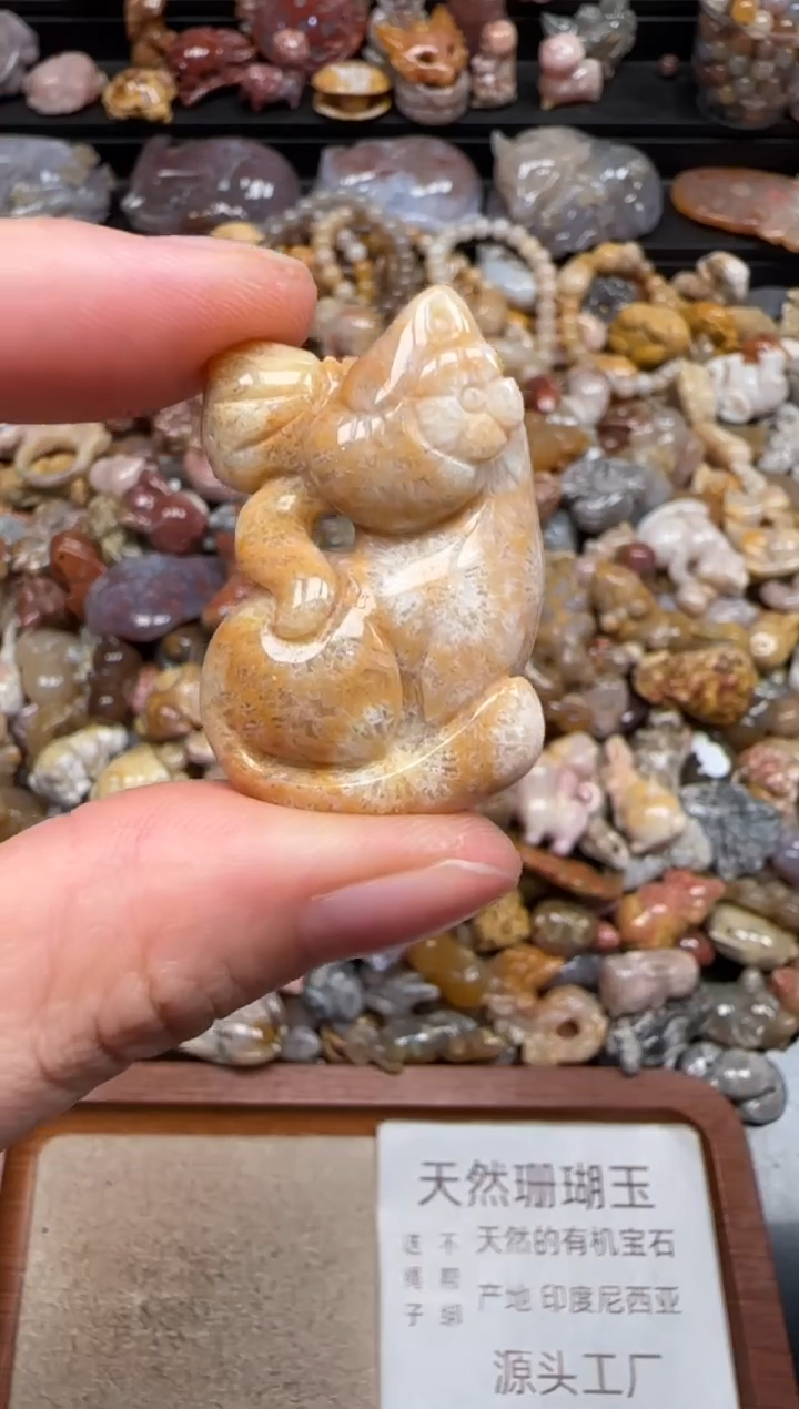 硅化珊瑚（珊瑚玉）未镶嵌颈饰241
