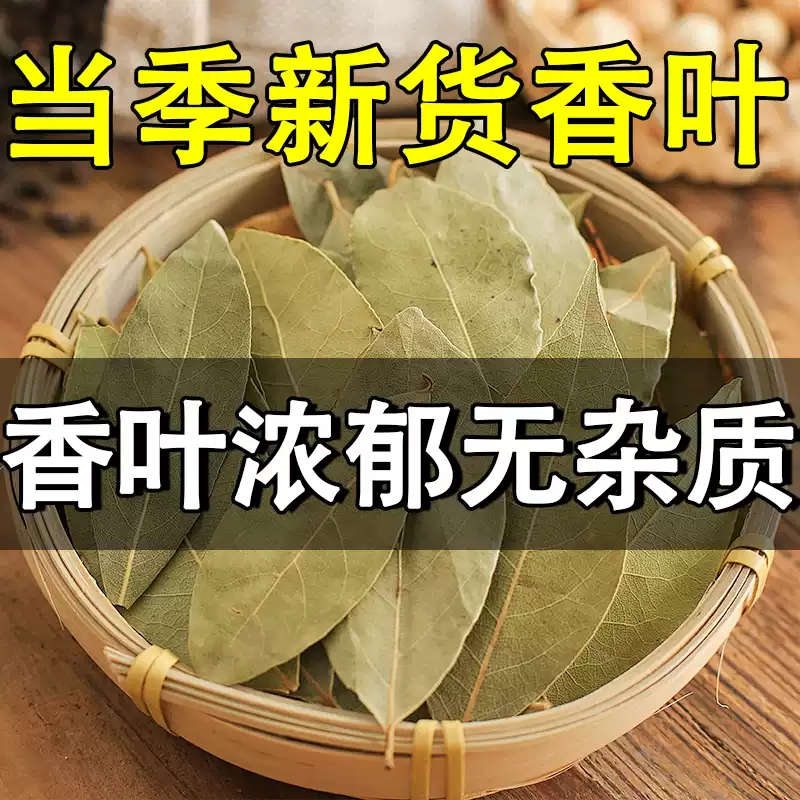 广西新货头茬香叶无熏硫自然晒干家用厨房炖肉增香调料