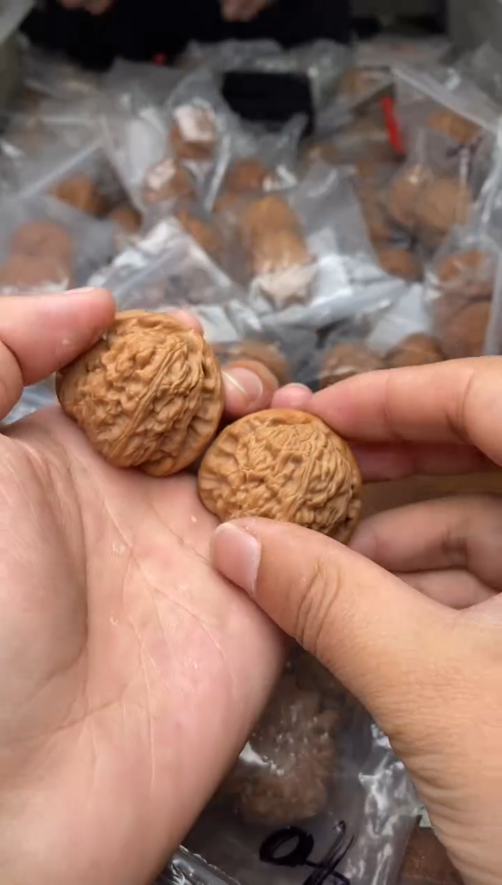 【闪购商品】文玩核桃把件A46号40尺白狮子.团