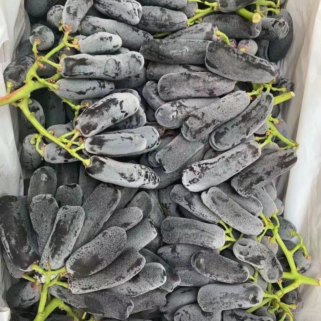 金手指葡萄特级果 3-5斤 脆甜无籽 当季新鲜水果 只发川渝葡萄同城送云南省