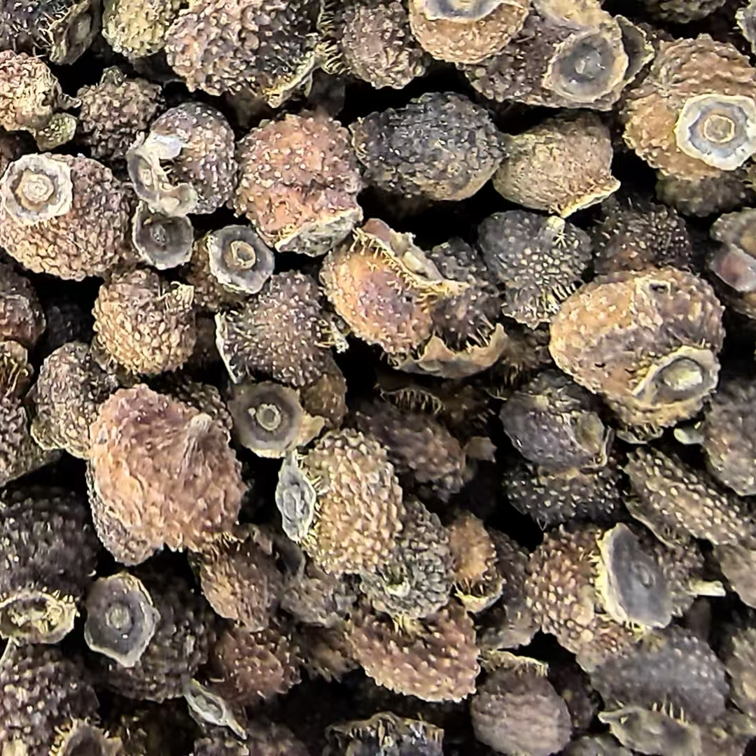 【阿苗】刺梨干果泡水贵州特产自然晒干