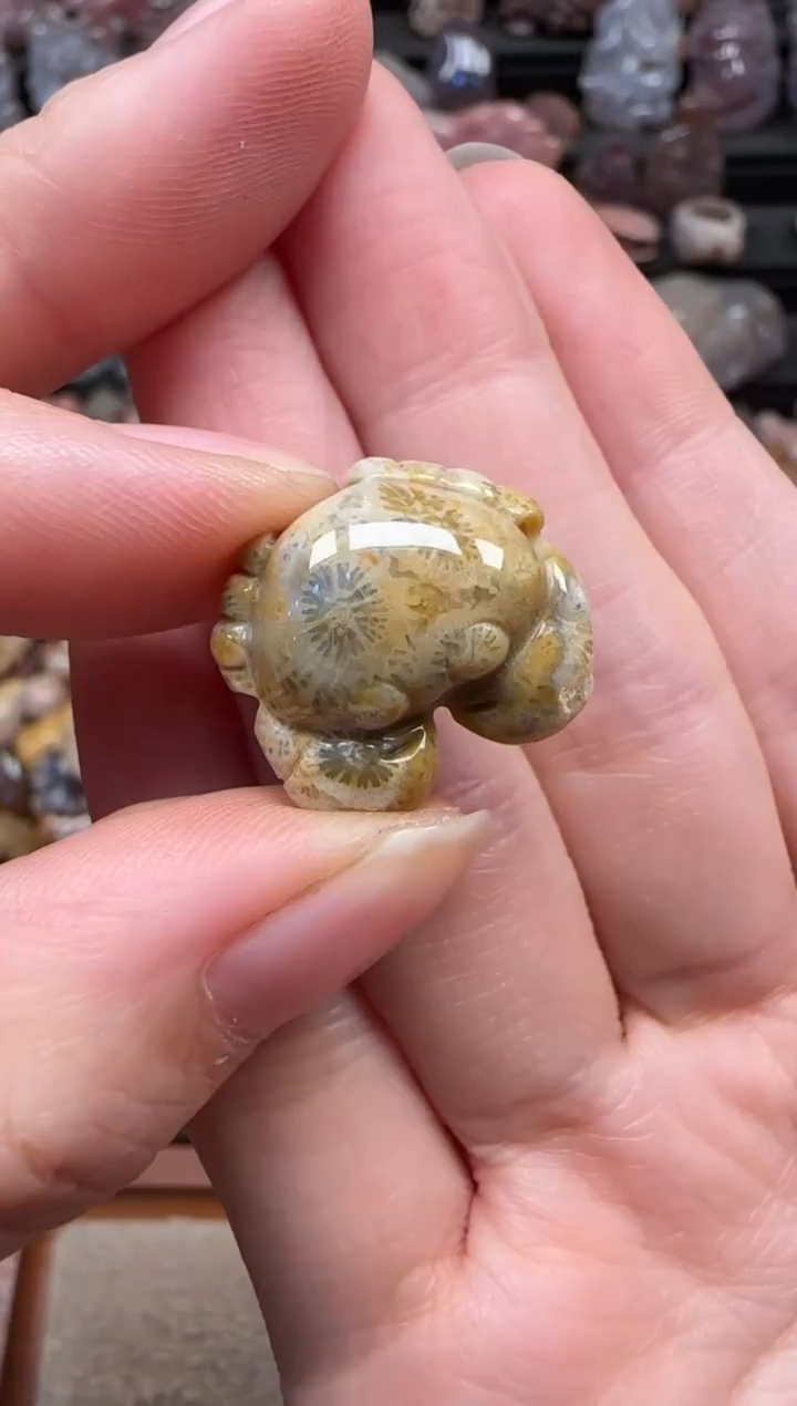 颈饰未镶嵌硅化珊瑚（珊瑚玉）364