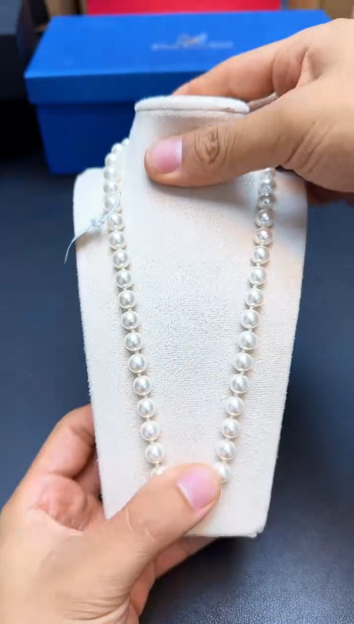 瓷片全新正品一件不留@@WE384