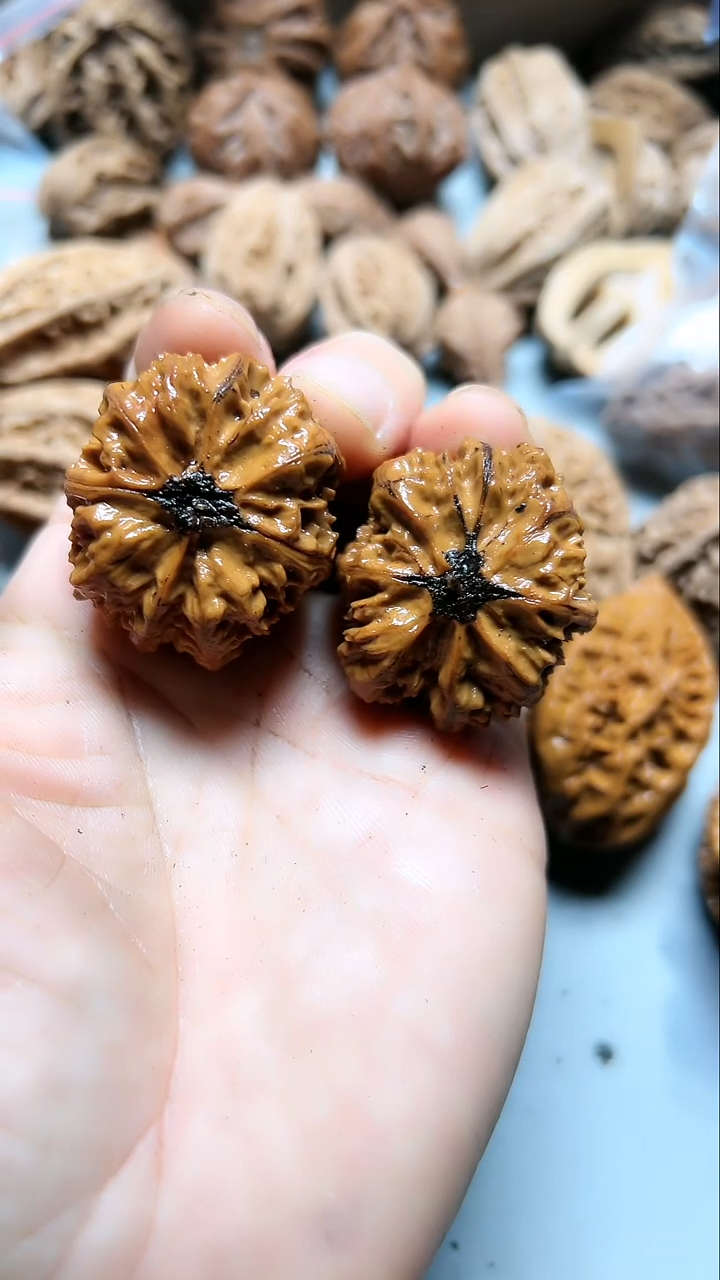 核桃东北野生大秋子3