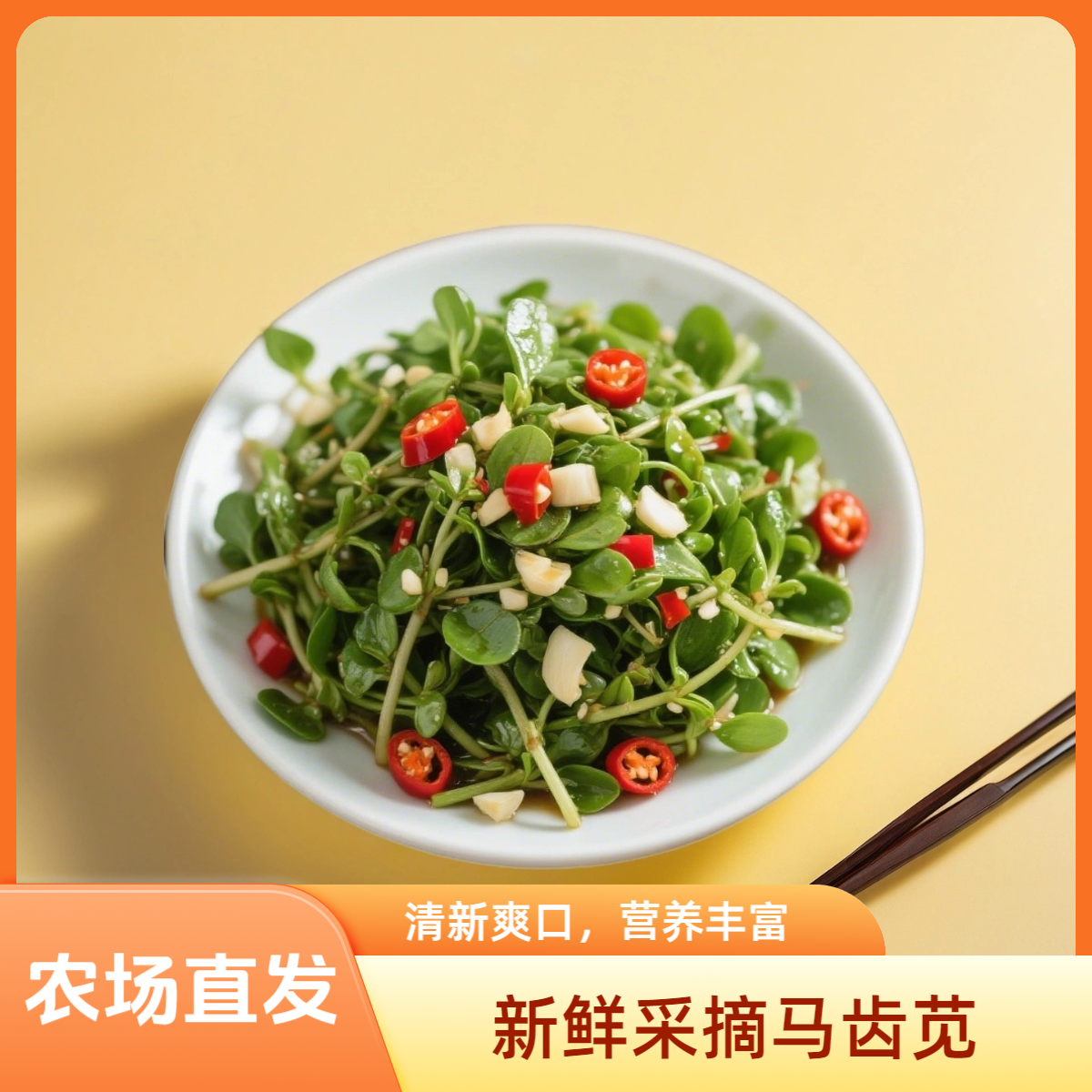 农家马齿苋现挖野菜现摘现发时令野菜长寿菜蚂蚁菜五行草