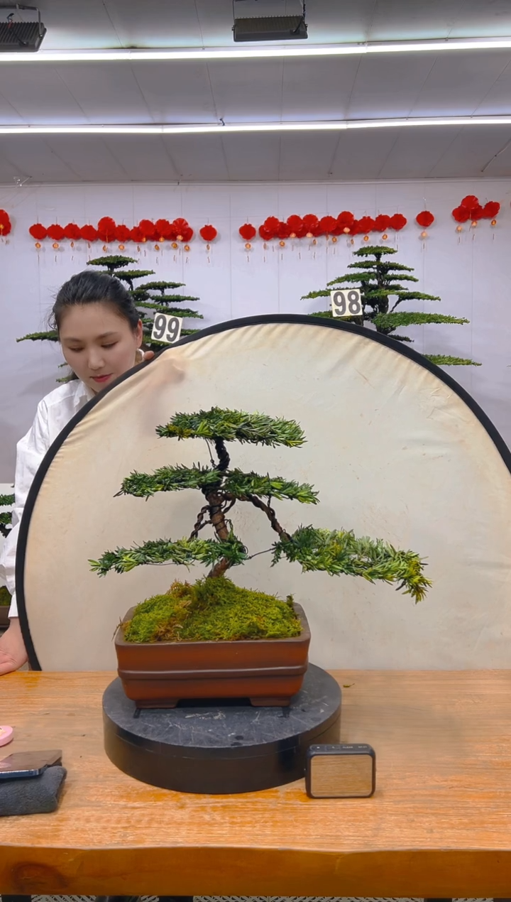 【闪购商品】盆景1