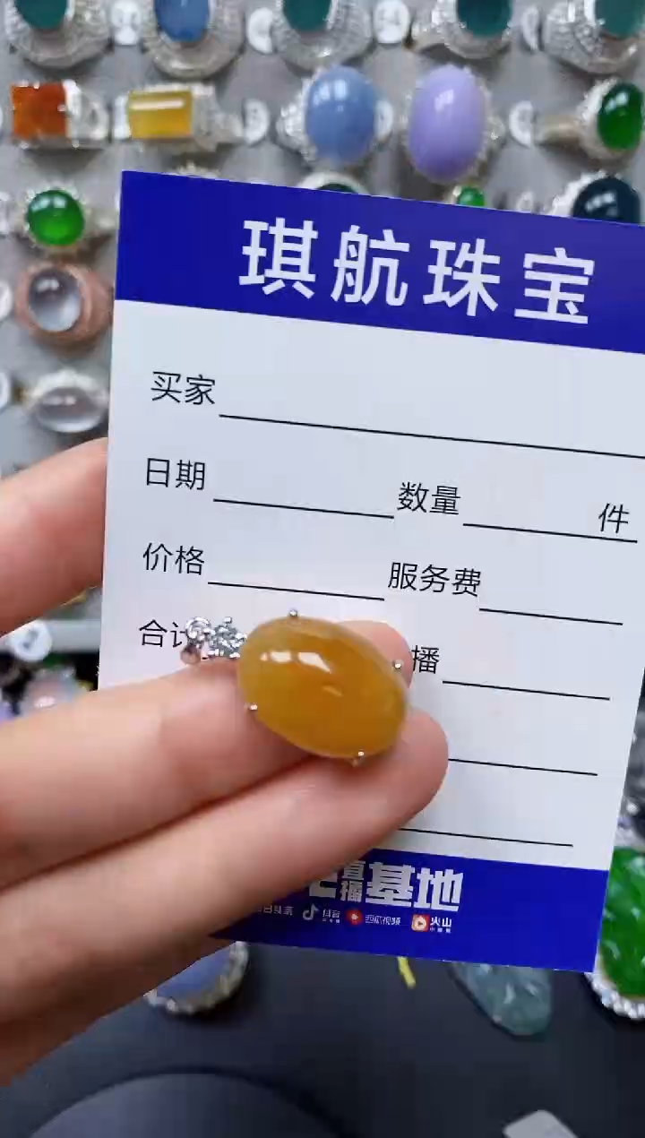 【闪购商品】翡翠颈饰银S925镶嵌0142