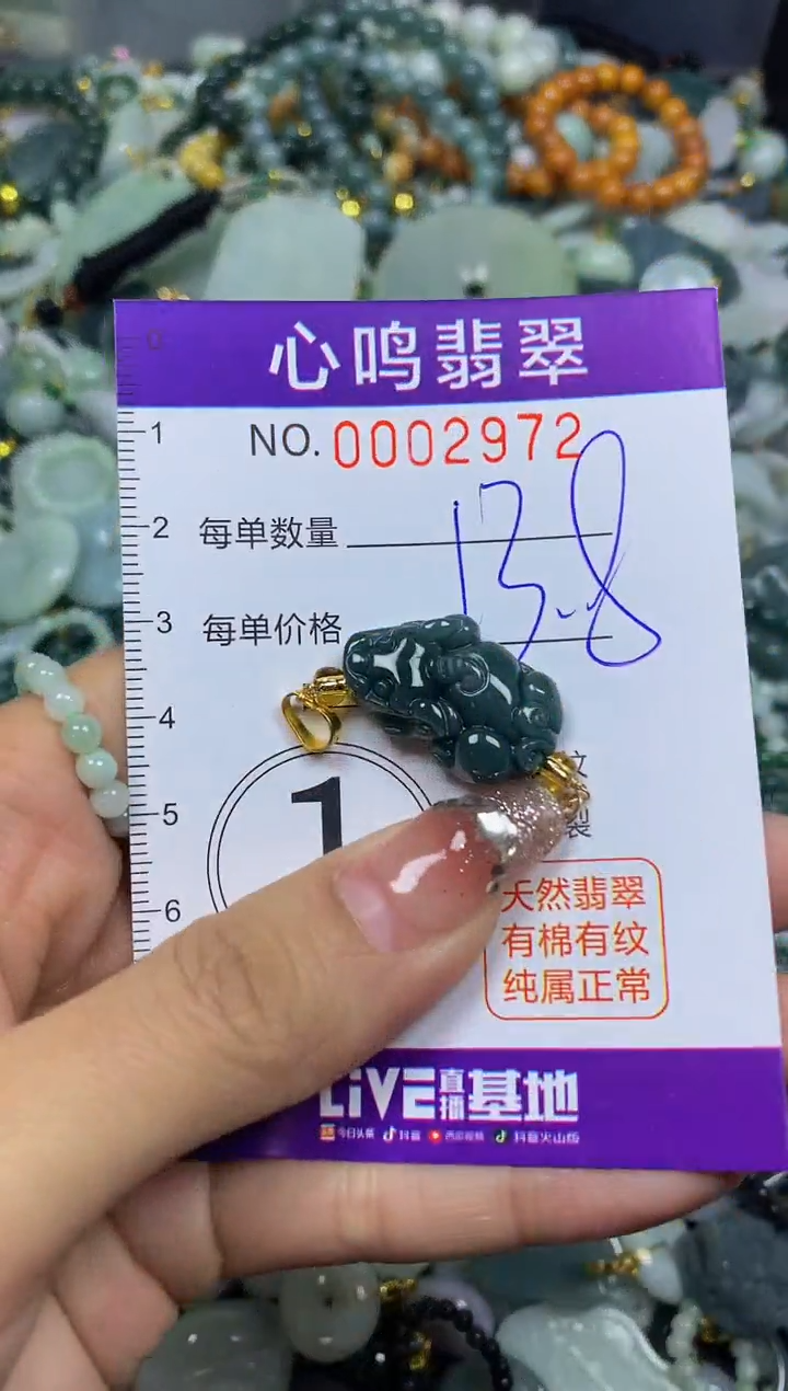 【闪购商品】翡翠颈饰未镶嵌闪购002972
