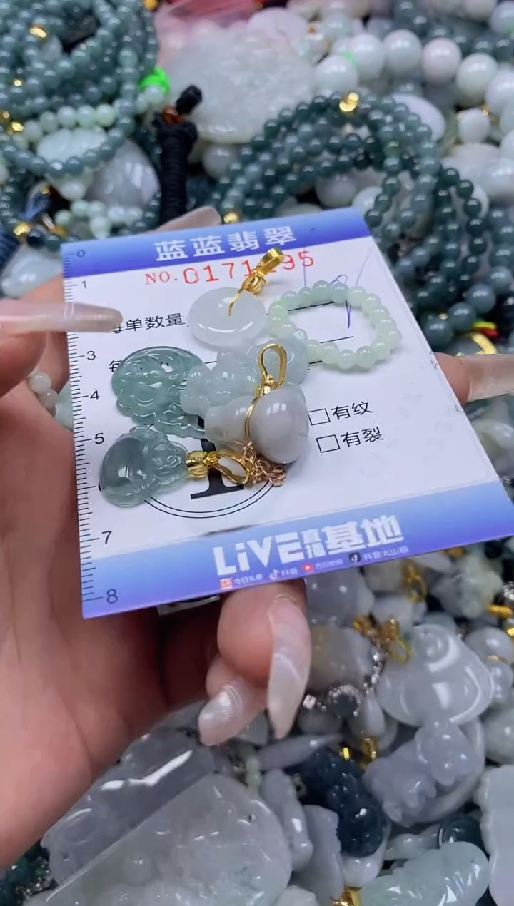 【闪购商品】翡翠颈饰未镶嵌闪购0171195
