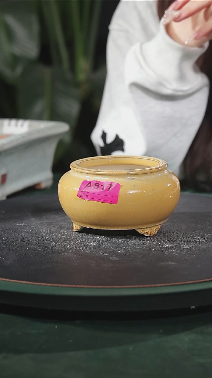 【陶一峰石湾花盆】5寸袋式圆盆817家居级