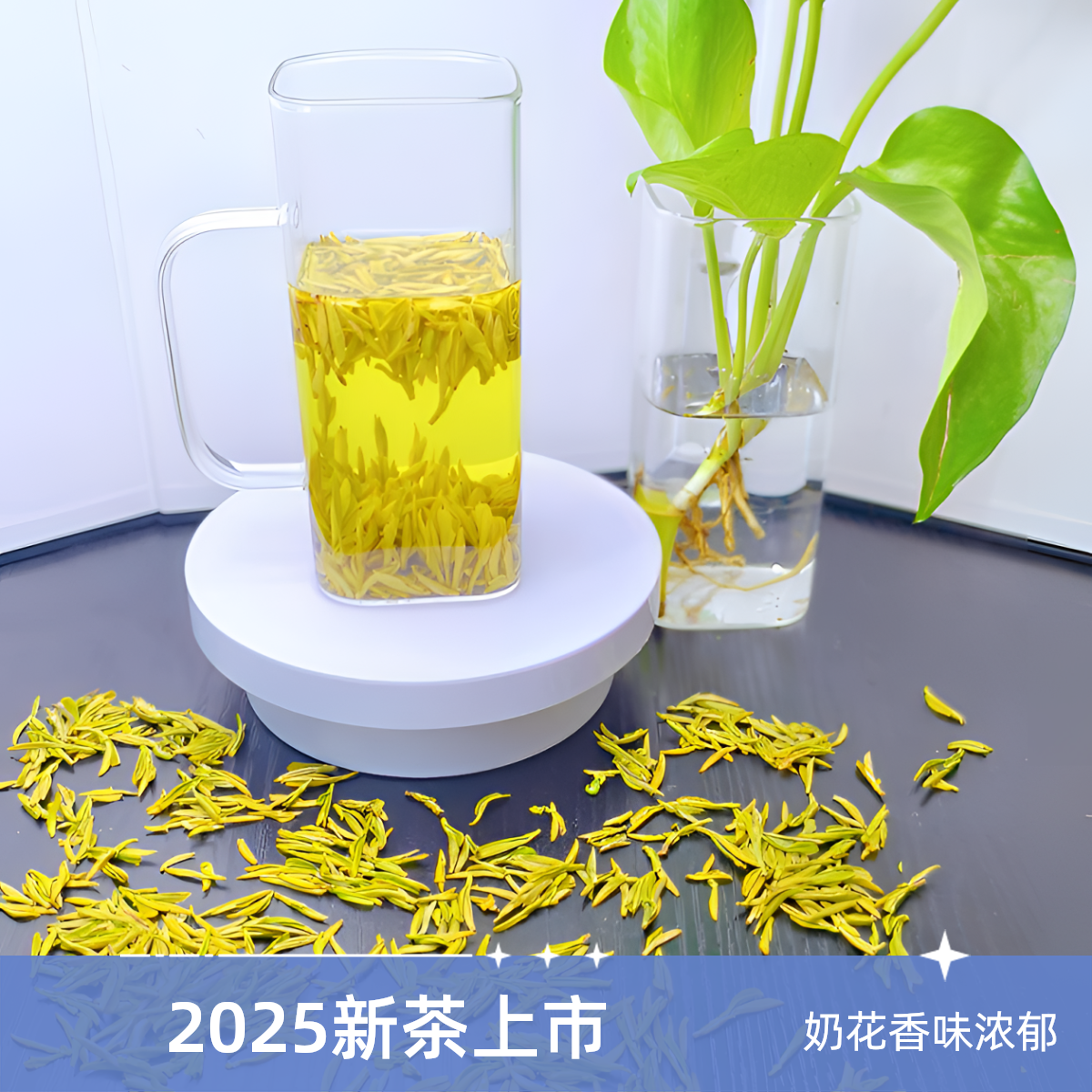 2025新茶黄金芽奶白茶奶香兰花香高端袋装春茶好喝不贵黄金芽