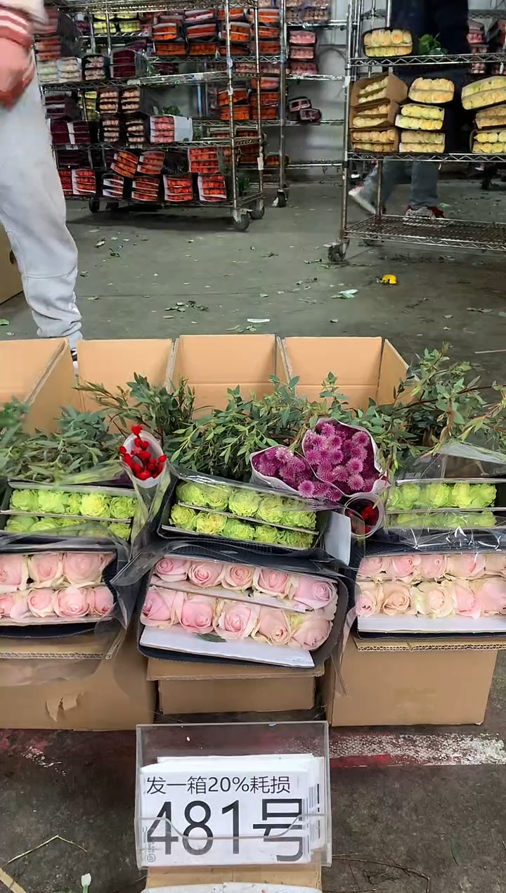 481号♥中通含20%耗损发一箱鲜花