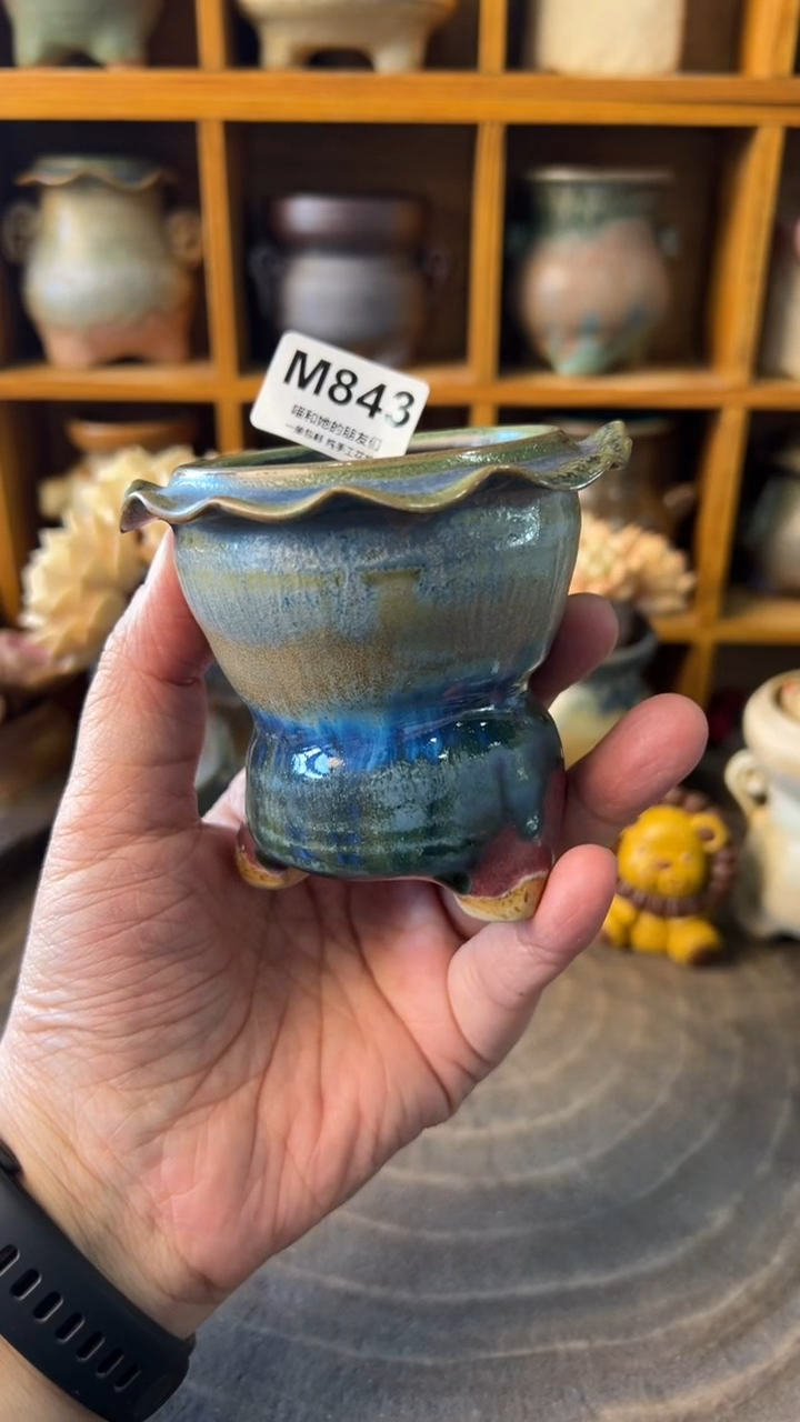 843 内口5.5【多肉花盆多肉盆】