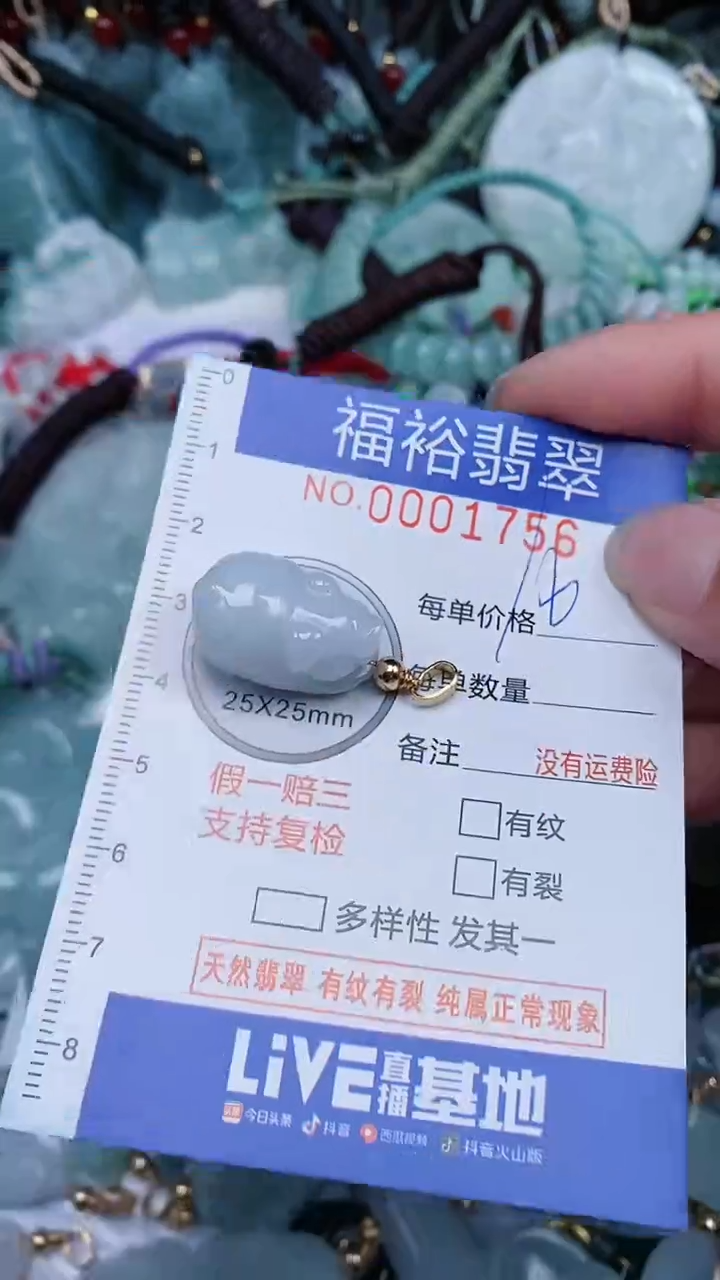 翡翠未镶嵌颈饰...0001756