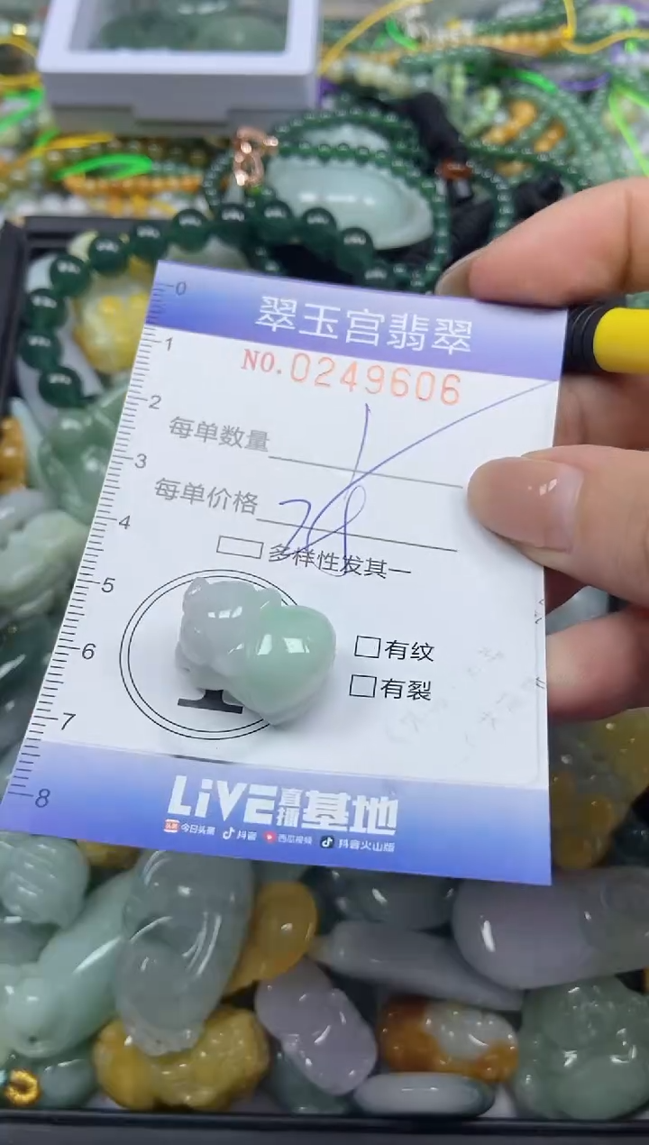 颈饰未镶嵌翡翠闪购C0249606