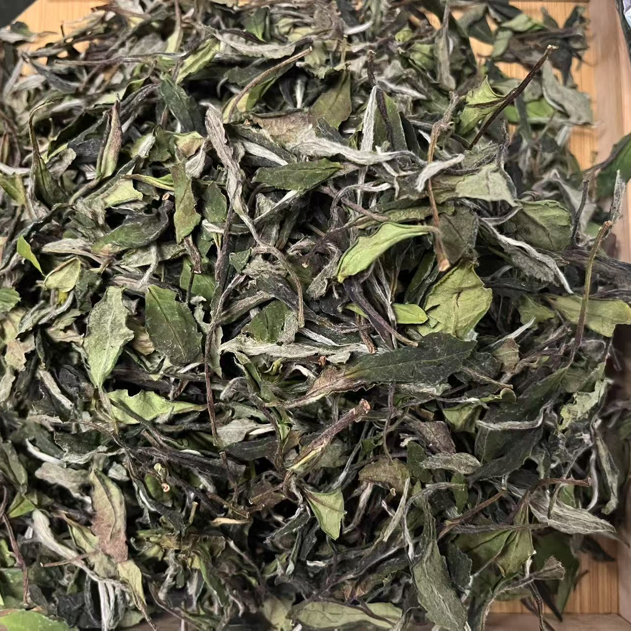 2025年正宗福鼎白茶新茶春寿眉