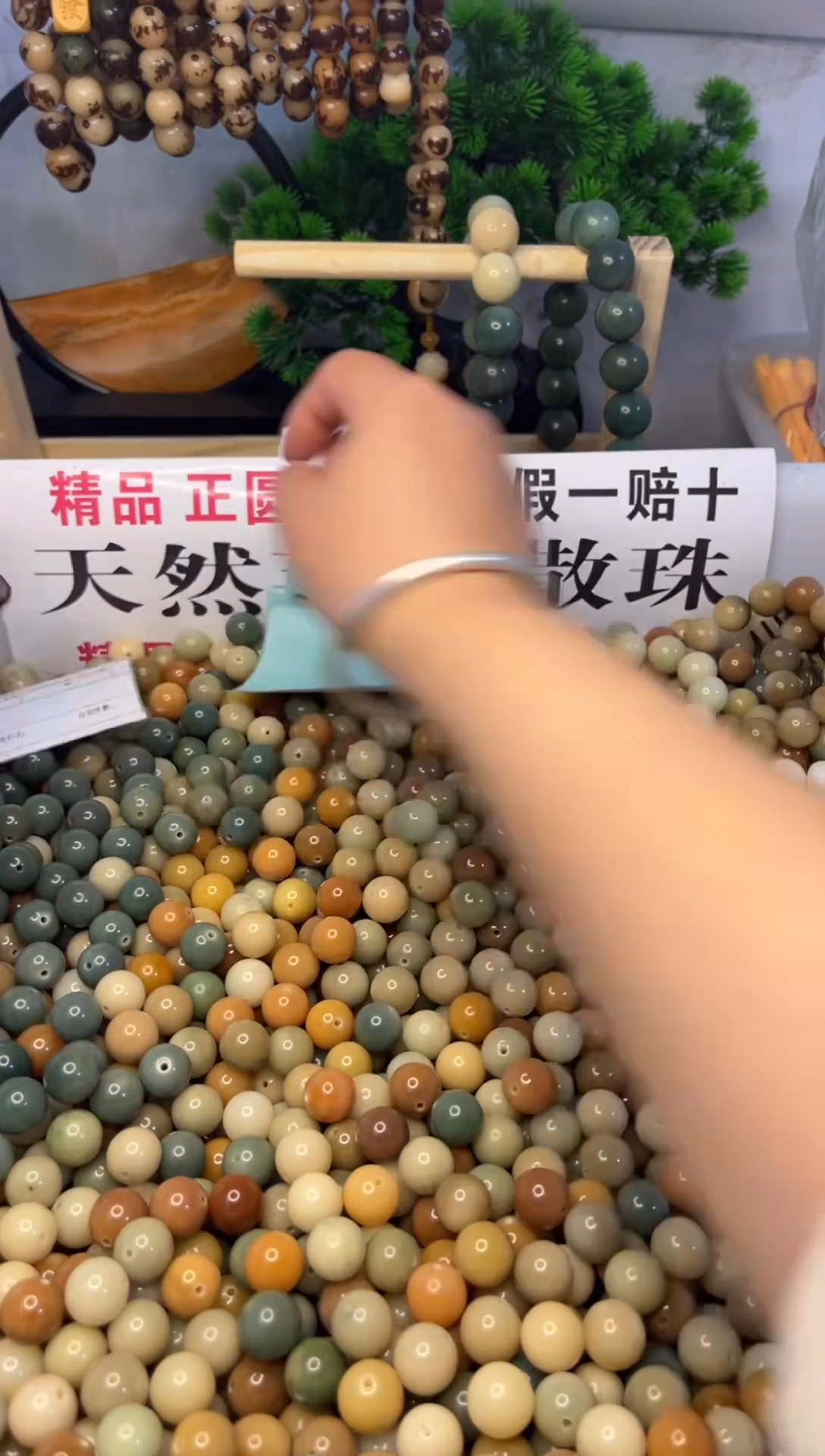 吊坠菩提根/象牙果K12多宝120颗送1莲花1卷弹力绳