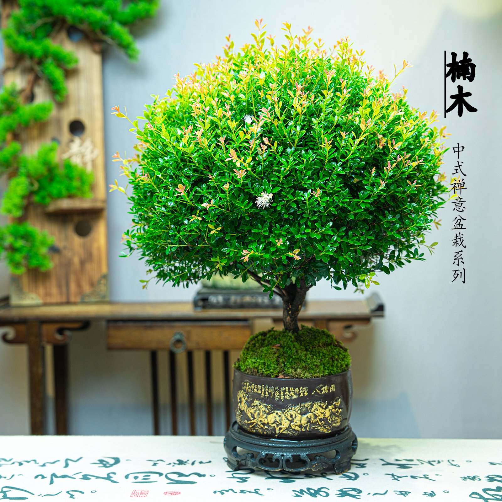 八骏图金丝楠木室内高端绿植盆景美观大气好养耐活