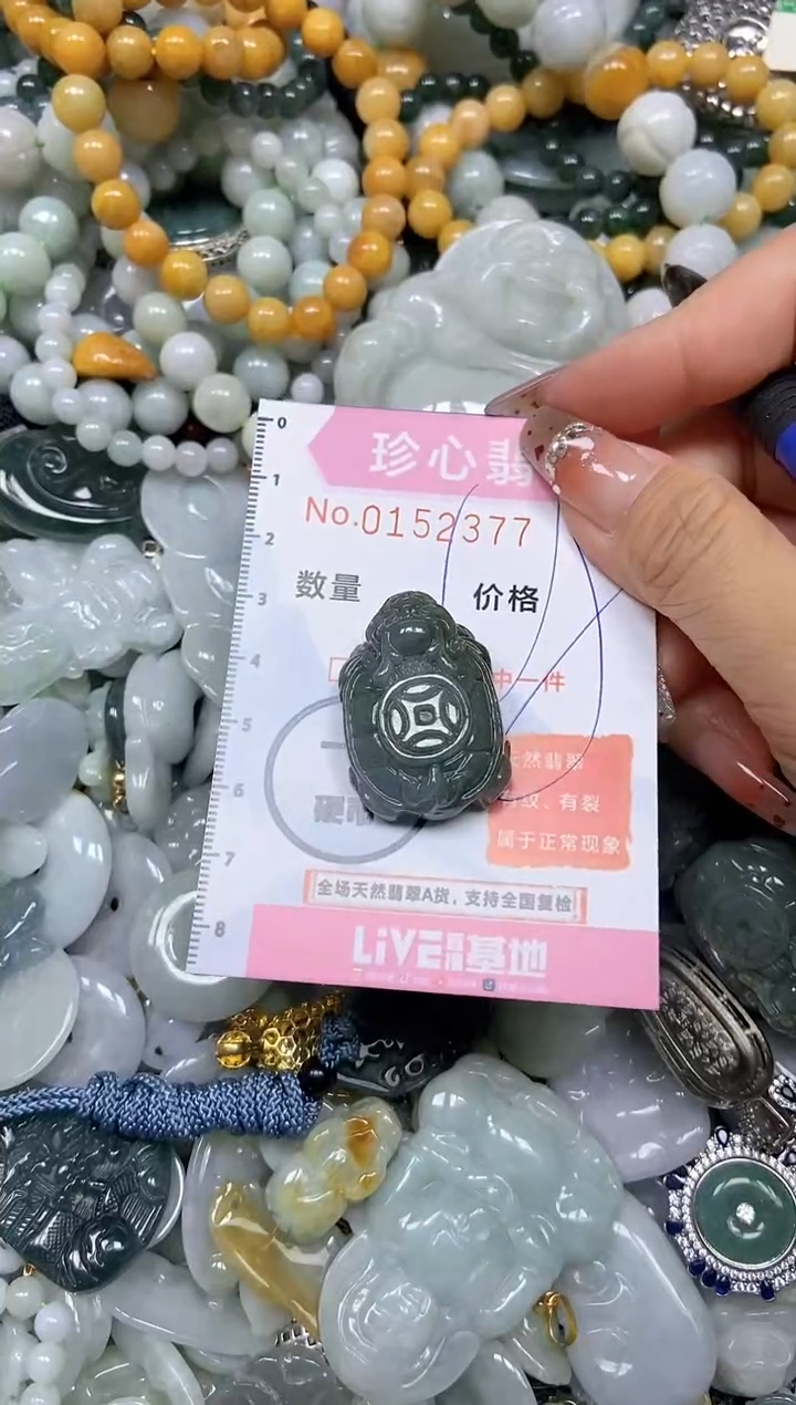 【闪购商品】翡翠颈饰未镶嵌闪购链接0152377