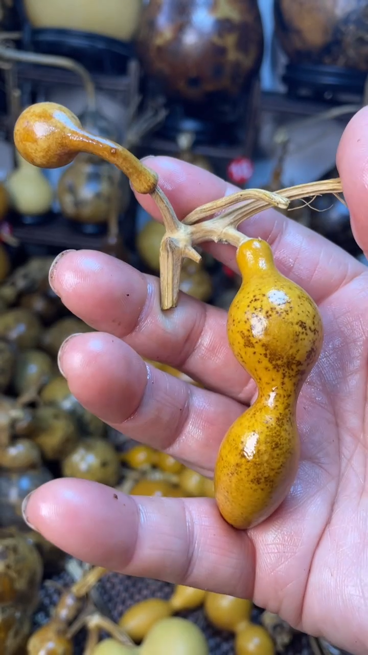 【闪购商品】葫芦葫芦葫芦葫芦葫芦