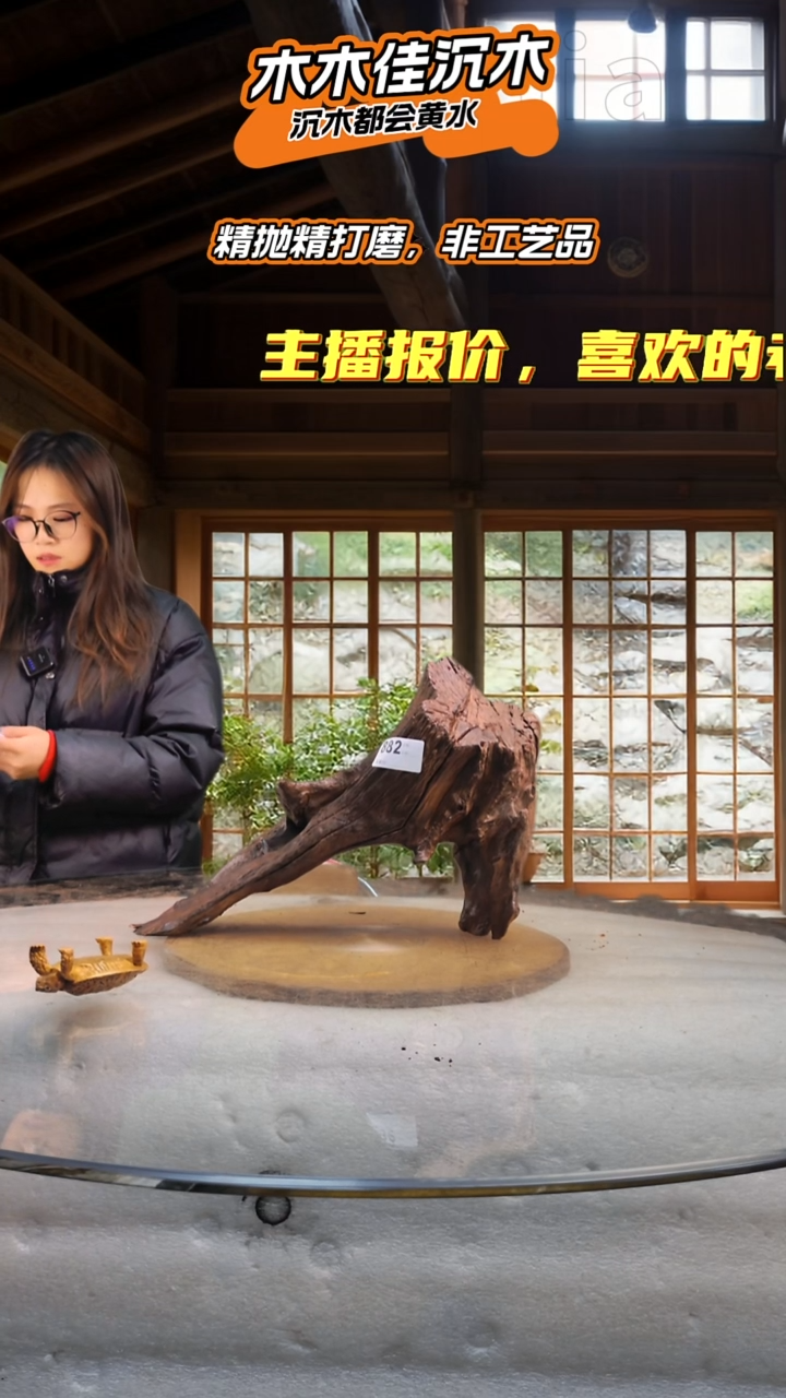 ?****8 木木佳沉木鱼缸造景-882