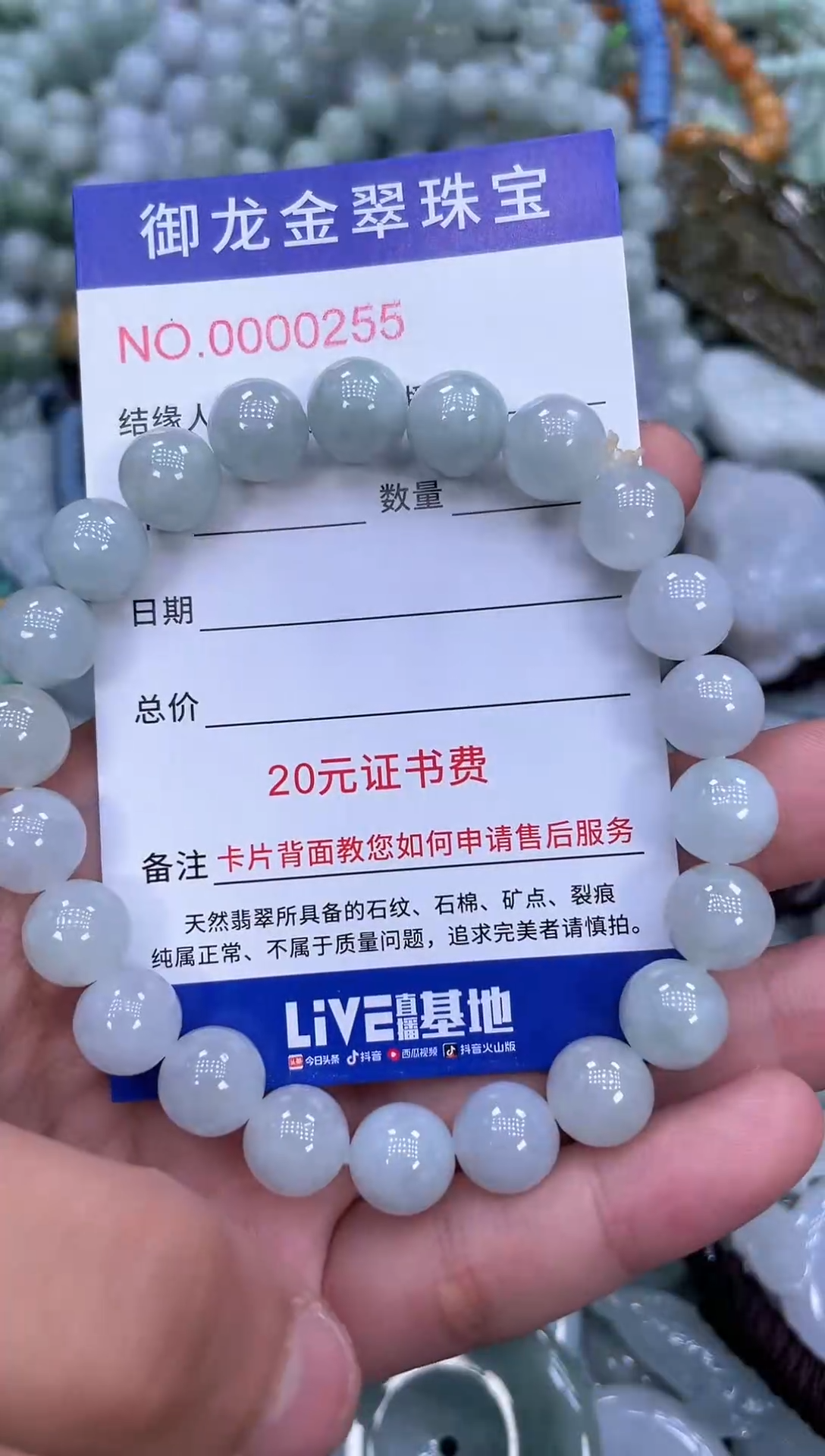 颈饰未镶嵌翡翠008