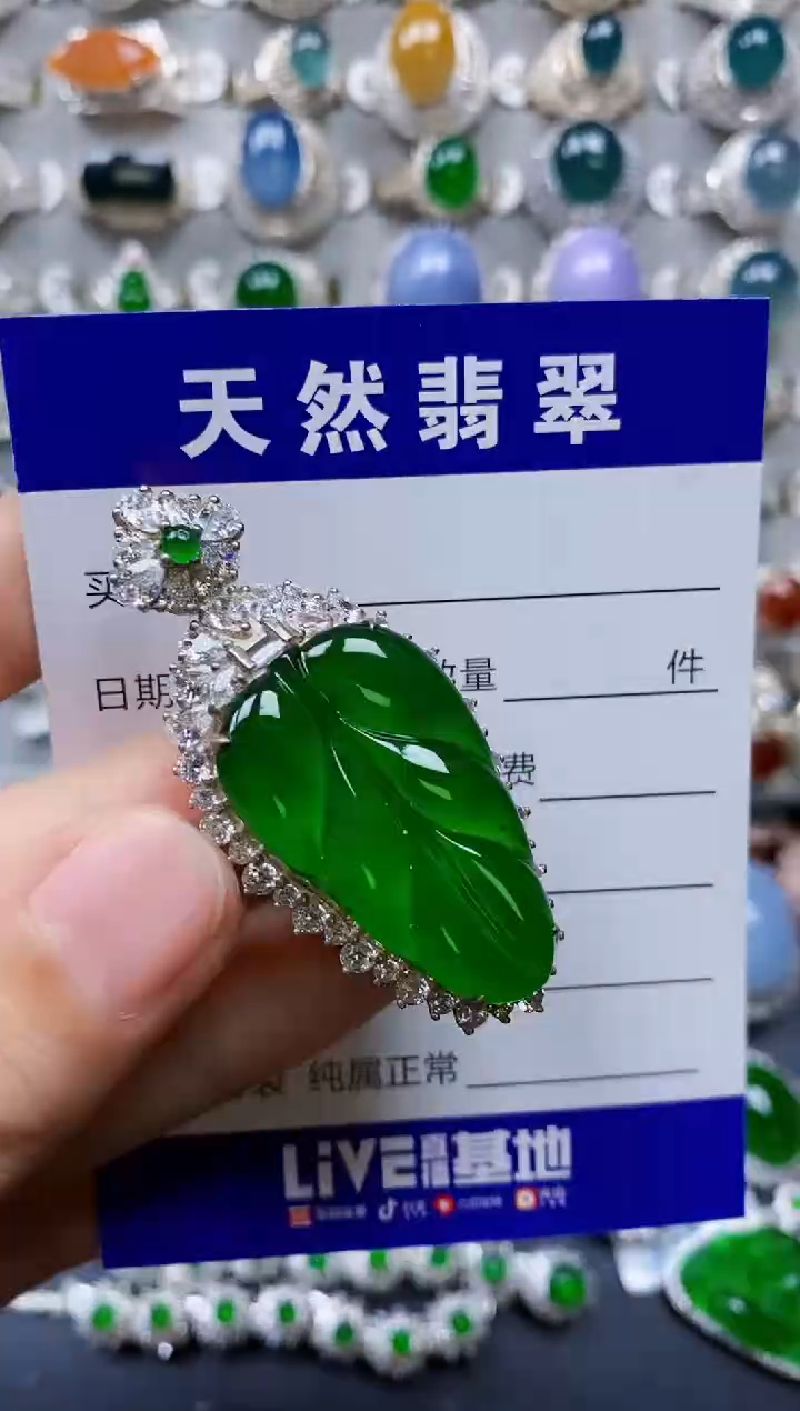 【闪购商品】翡翠颈饰未镶嵌00000452