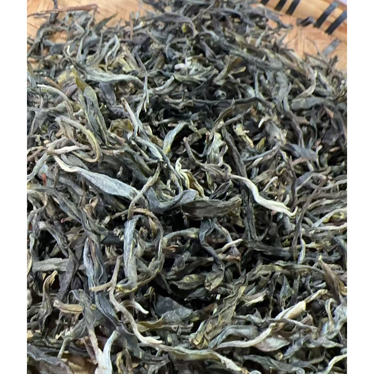 MK826号2025年{春}冰岛南迫古树单株晒青毛茶散茶5-27日