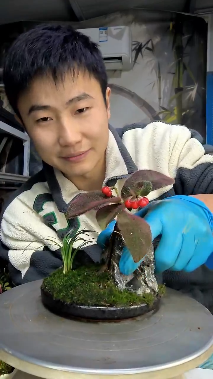 尔*中青园艺一物一拍花435