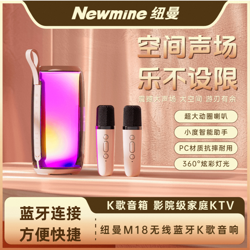 Newmine/纽曼音响一体户外唱歌设备ktv音响设备一整套
