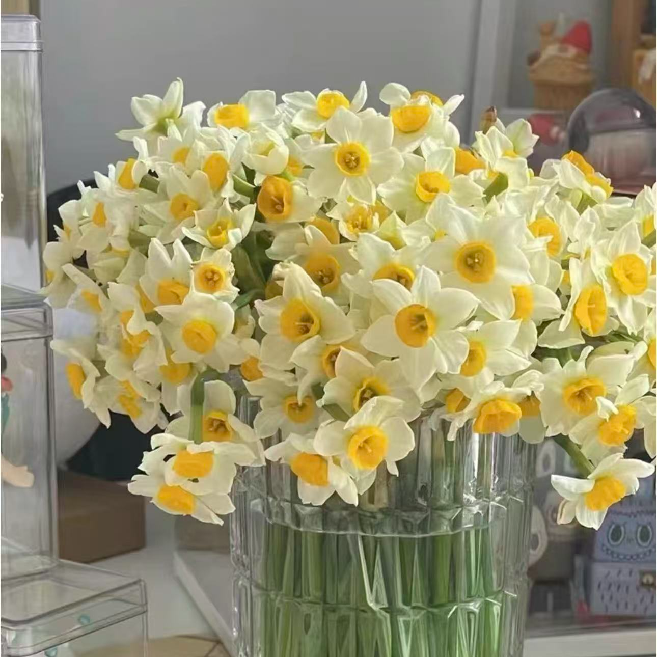  含瓶水仙花鲜切花 重瓣浓香 水养易活 家用办公插花装饰鲜花速递