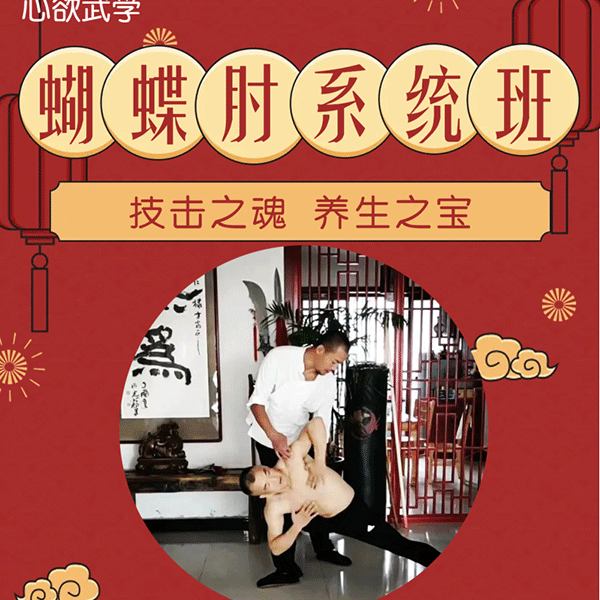 蝴蝶肘系统学习班