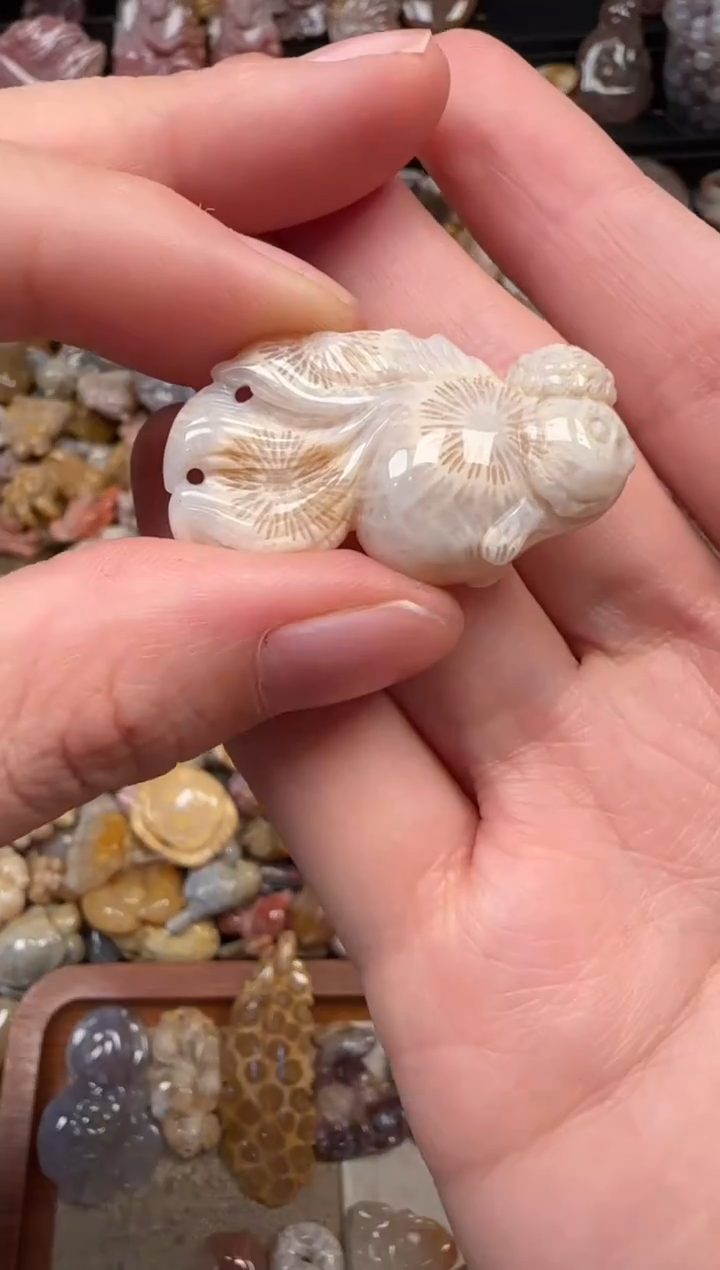 颈饰未镶嵌硅化珊瑚（珊瑚玉）656