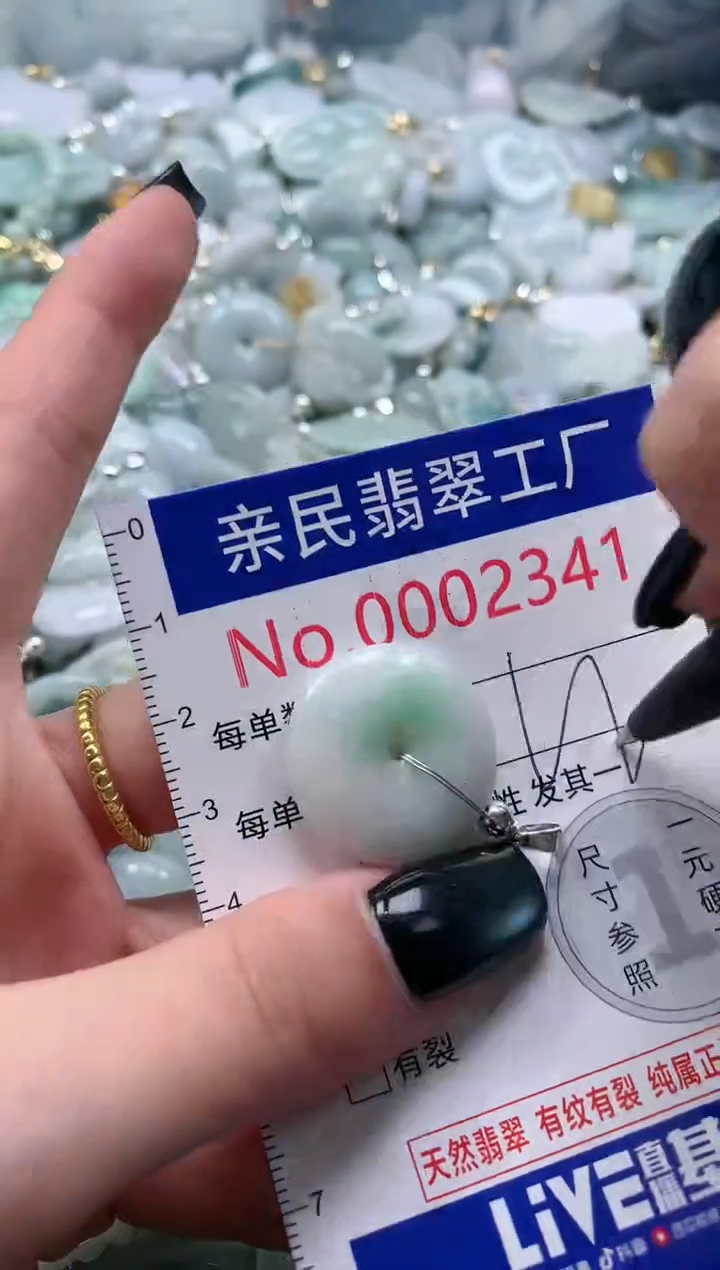 翡翠未镶嵌吊坠(不含链)2341